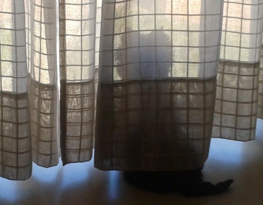 Mirando por la ventana. Mirando por la ventana.